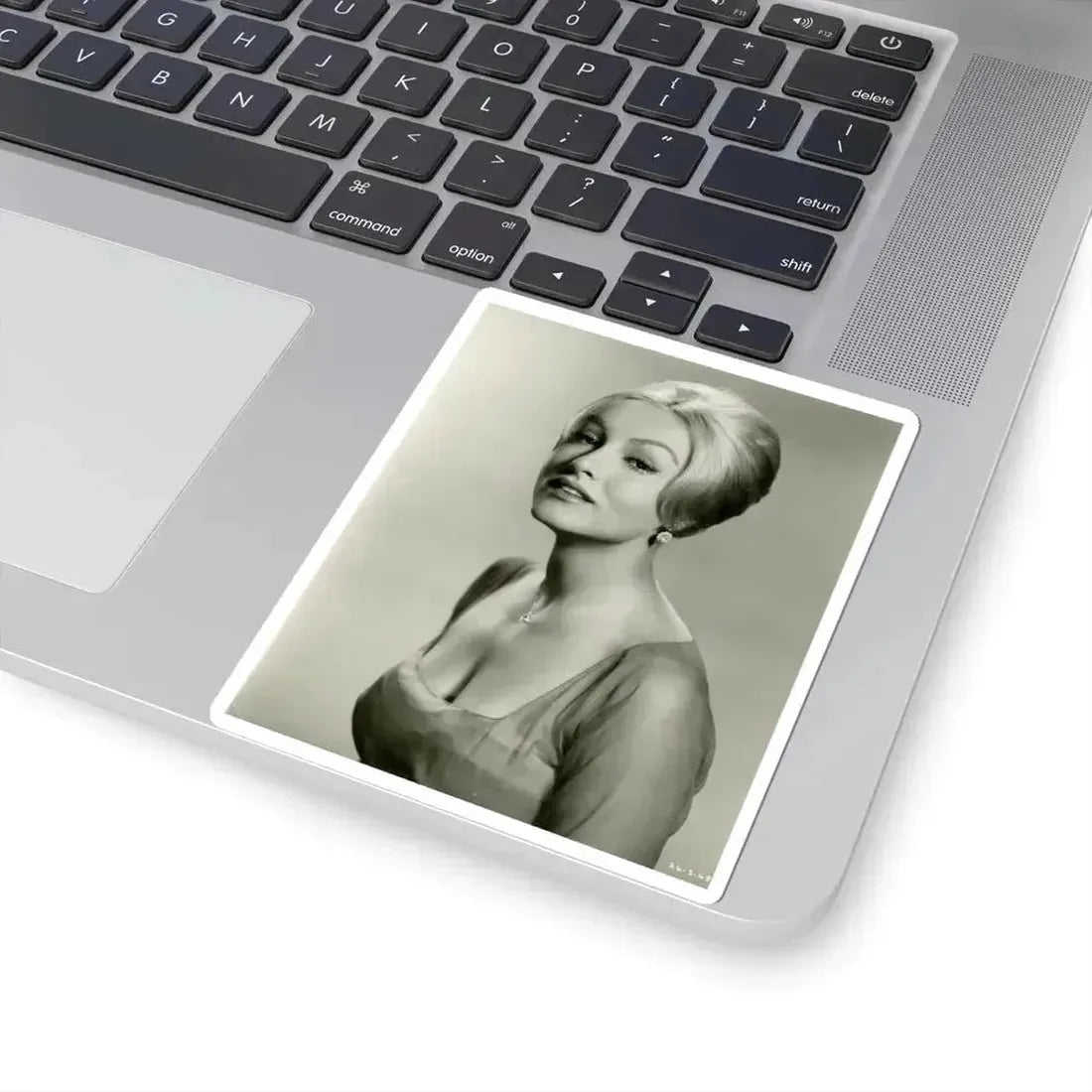 Julie Newmar #364 (Vintage Female Icon) STICKER Vinyl Kiss-Cut Decal - The Sticker Space