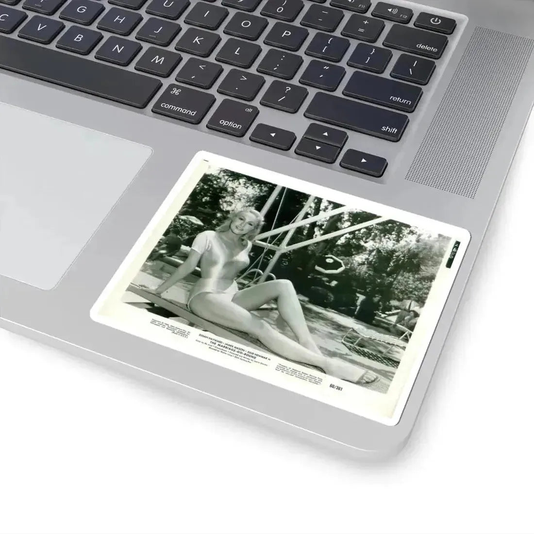 Julie Newmar #366 (Vintage Female Icon) STICKER Vinyl Kiss-Cut Decal - The Sticker Space