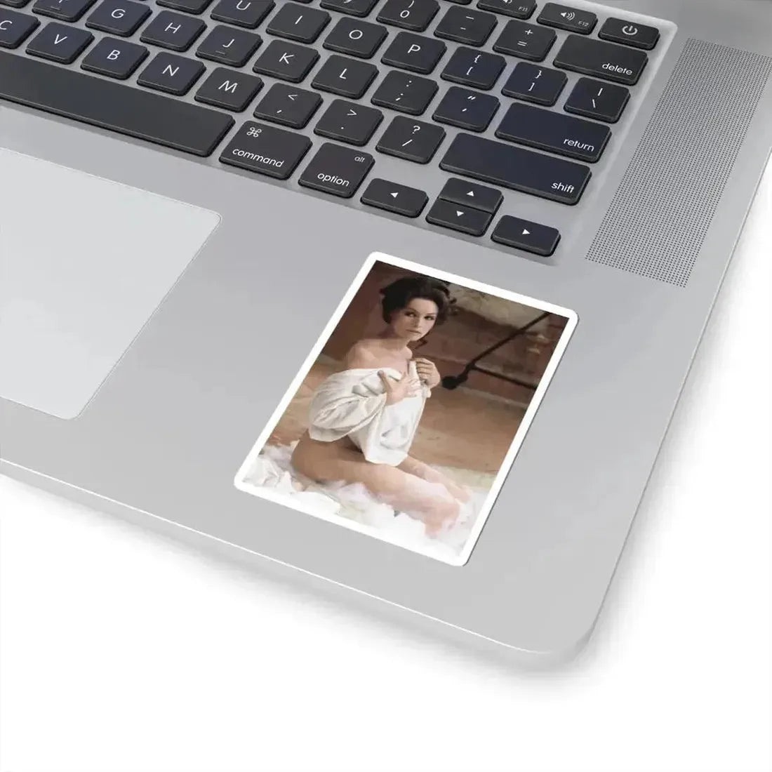 Julie Newmar #370 (Vintage Female Icon) STICKER Vinyl Kiss-Cut Decal - The Sticker Space