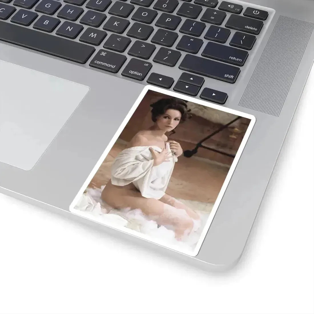 Julie Newmar #370 (Vintage Female Icon) STICKER Vinyl Kiss-Cut Decal - The Sticker Space