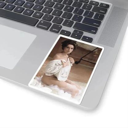 Julie Newmar #370 (Vintage Female Icon) STICKER Vinyl Kiss-Cut Decal - The Sticker Space