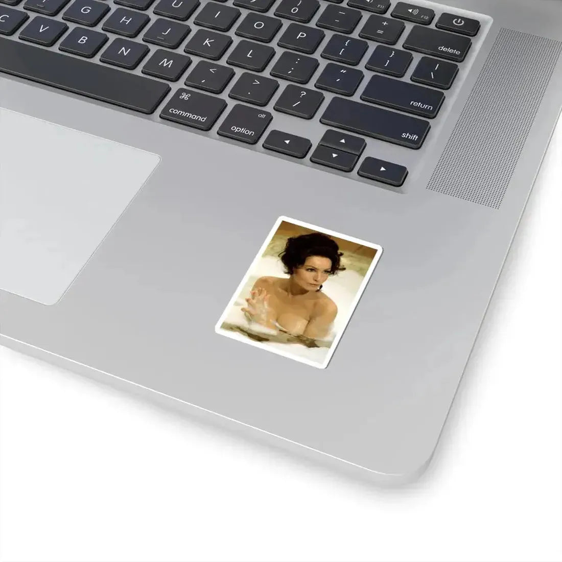 Julie Newmar #371 (Vintage Female Icon) STICKER Vinyl Kiss-Cut Decal - The Sticker Space