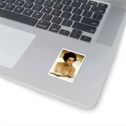 Julie Newmar #371 (Vintage Female Icon) STICKER Vinyl Kiss-Cut Decal - The Sticker Space
