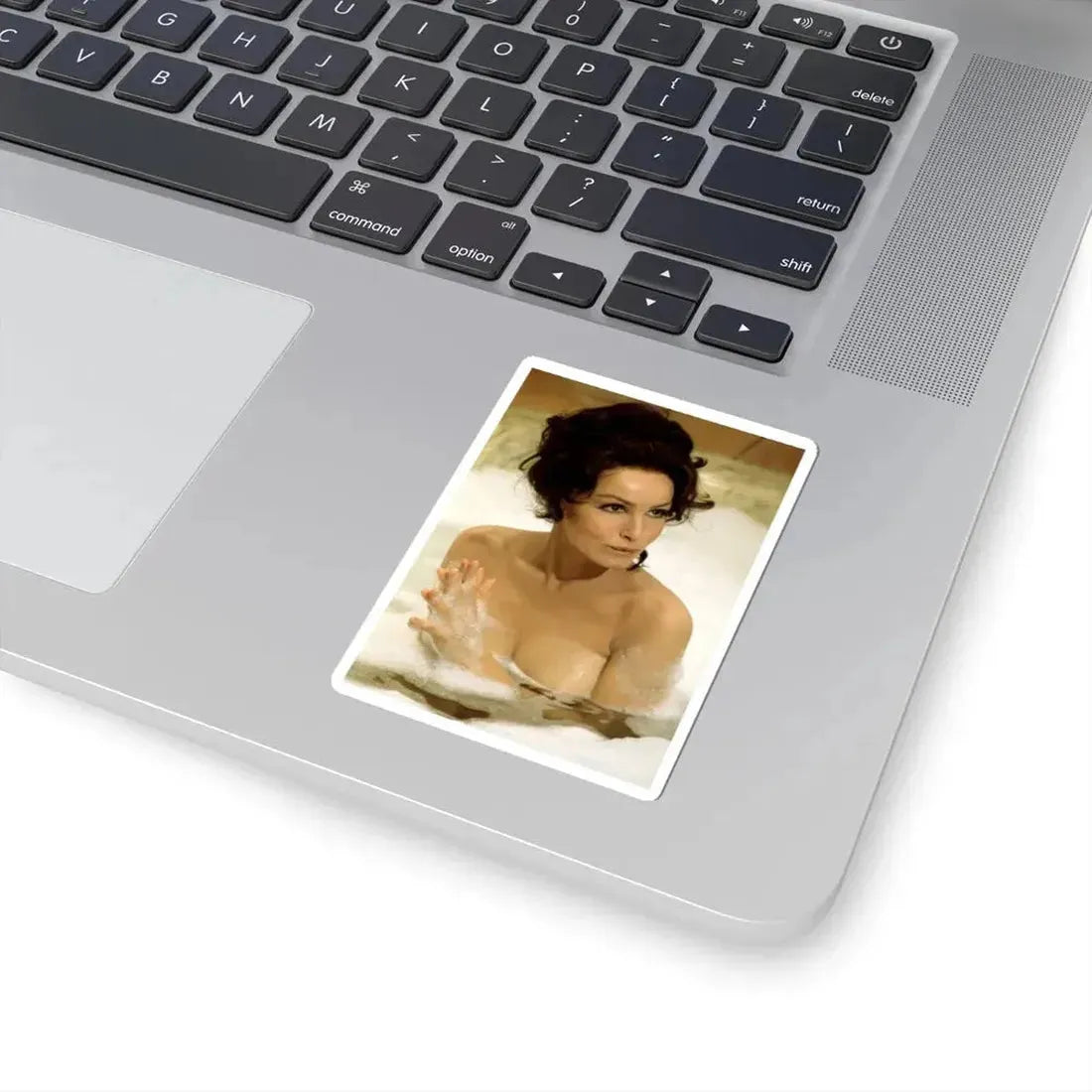 Julie Newmar #371 (Vintage Female Icon) STICKER Vinyl Kiss-Cut Decal - The Sticker Space