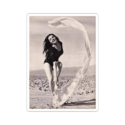 Julie Newmar #374 (Vintage Female Icon) STICKER Vinyl Kiss-Cut Decal 3 Inch White - The Sticker Space