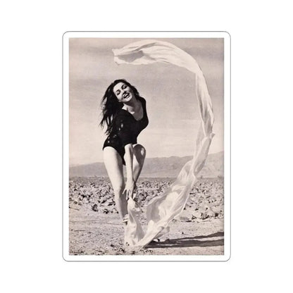 Julie Newmar #374 (Vintage Female Icon) STICKER Vinyl Kiss-Cut Decal 6 Inch White - The Sticker Space