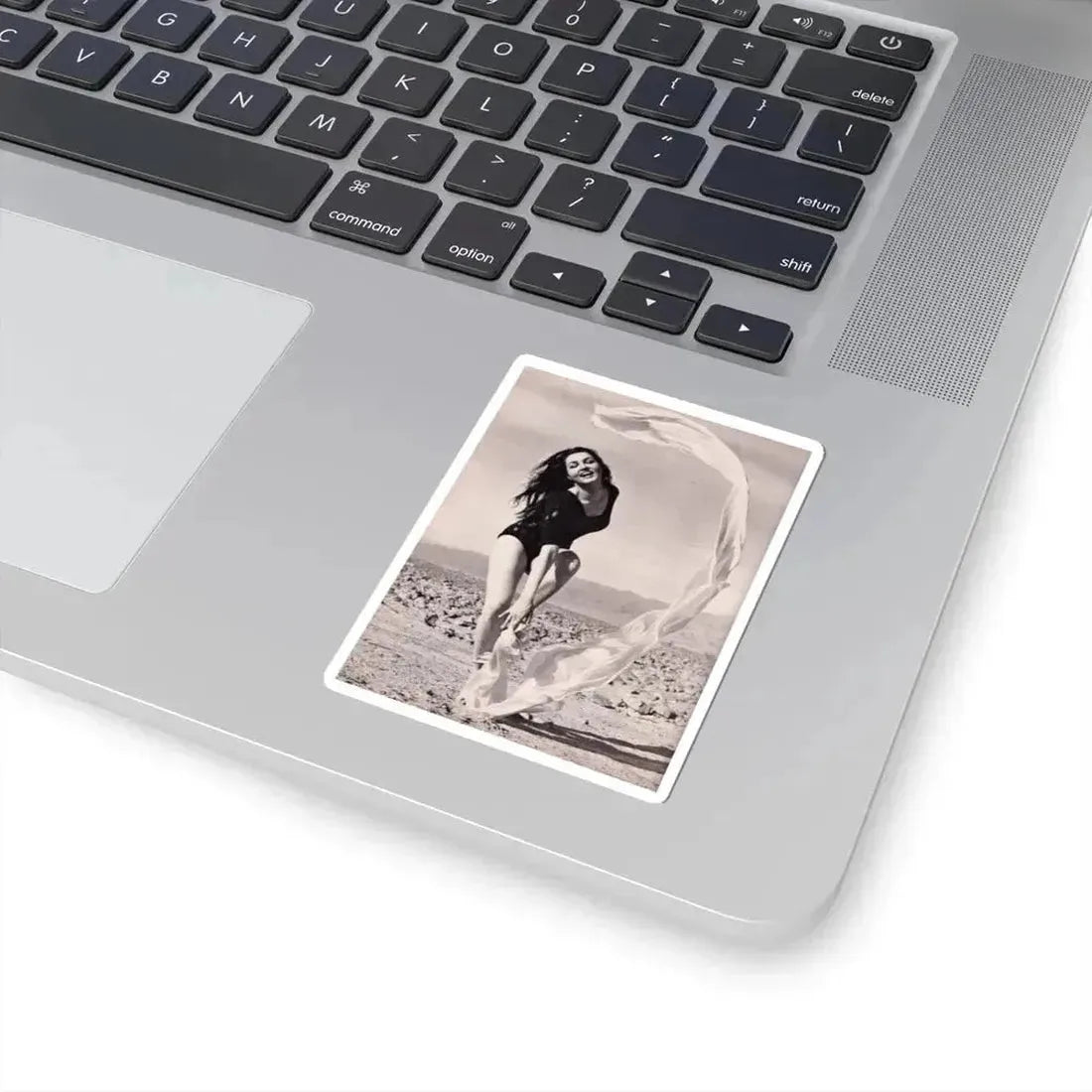 Julie Newmar #374 (Vintage Female Icon) STICKER Vinyl Kiss-Cut Decal - The Sticker Space