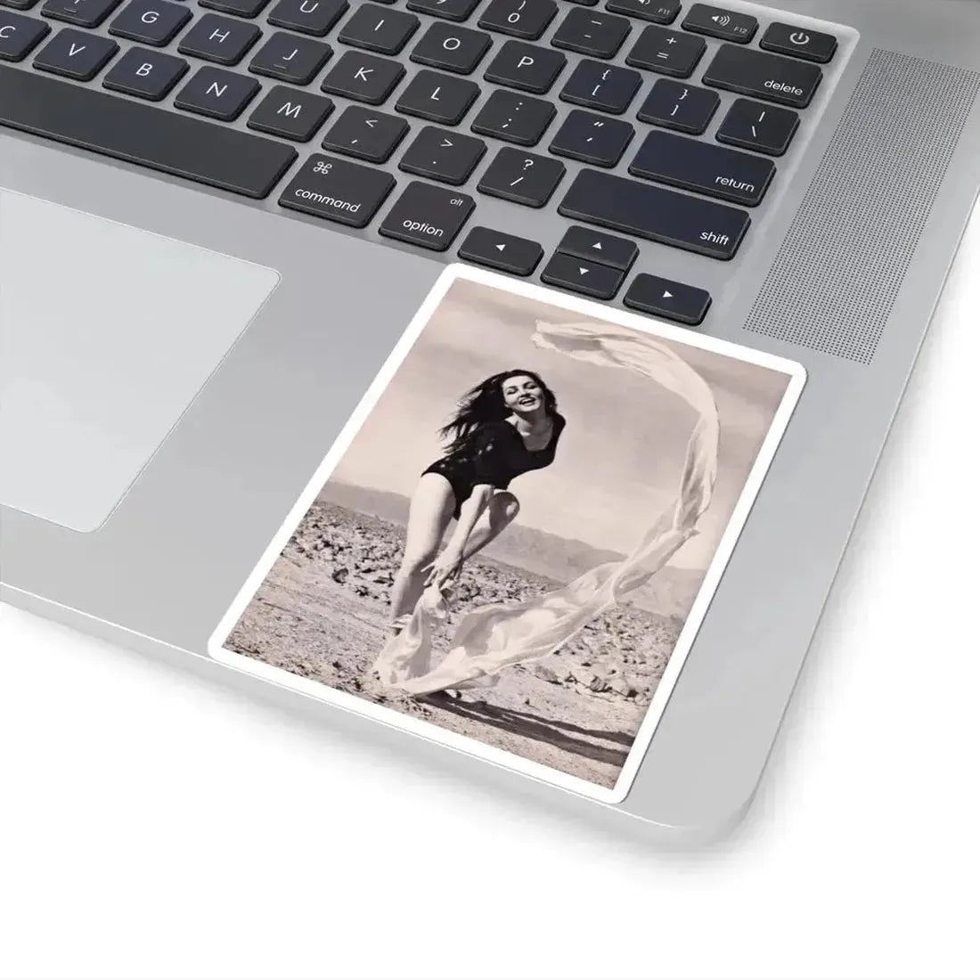 Julie Newmar #374 (Vintage Female Icon) STICKER Vinyl Kiss-Cut Decal - The Sticker Space