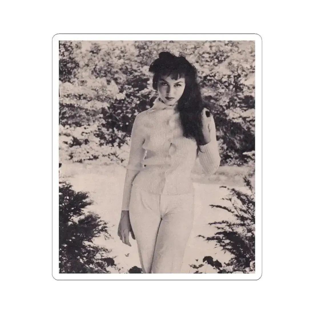 Julie Newmar #375 (Vintage Female Icon) STICKER Vinyl Kiss-Cut Decal 3 Inch White - The Sticker Space