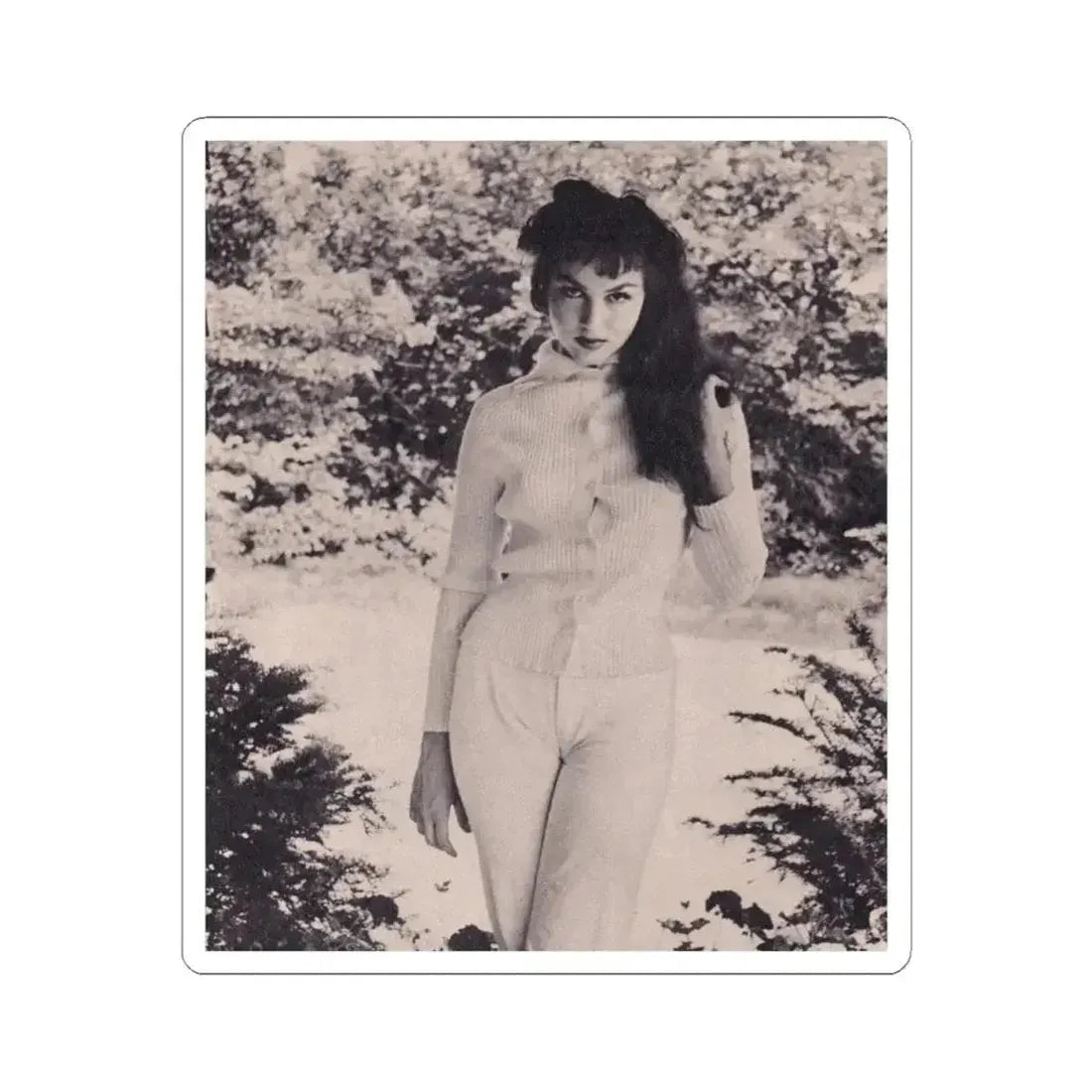 Julie Newmar #375 (Vintage Female Icon) STICKER Vinyl Kiss-Cut Decal 4 Inch White - The Sticker Space