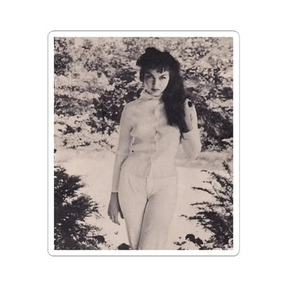 Julie Newmar #375 (Vintage Female Icon) STICKER Vinyl Kiss-Cut Decal 6 Inch White - The Sticker Space