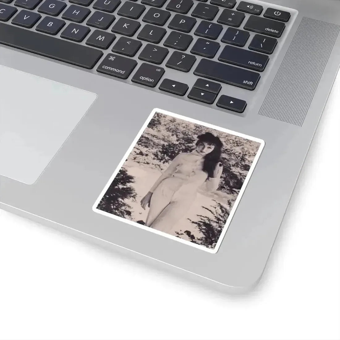 Julie Newmar #375 (Vintage Female Icon) STICKER Vinyl Kiss-Cut Decal - The Sticker Space