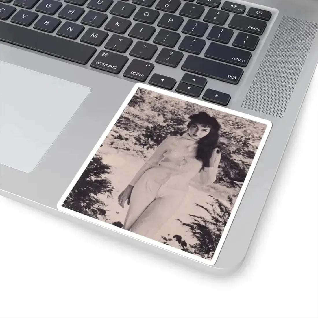 Julie Newmar #375 (Vintage Female Icon) STICKER Vinyl Kiss-Cut Decal - The Sticker Space