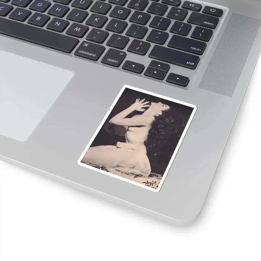 Julie Newmar #376 (Vintage Female Icon) STICKER Vinyl Kiss-Cut Decal - The Sticker Space