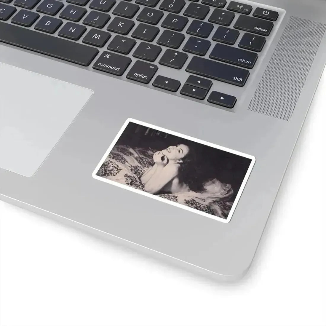 Julie Newmar #377 (Vintage Female Icon) STICKER Vinyl Kiss-Cut Decal - The Sticker Space