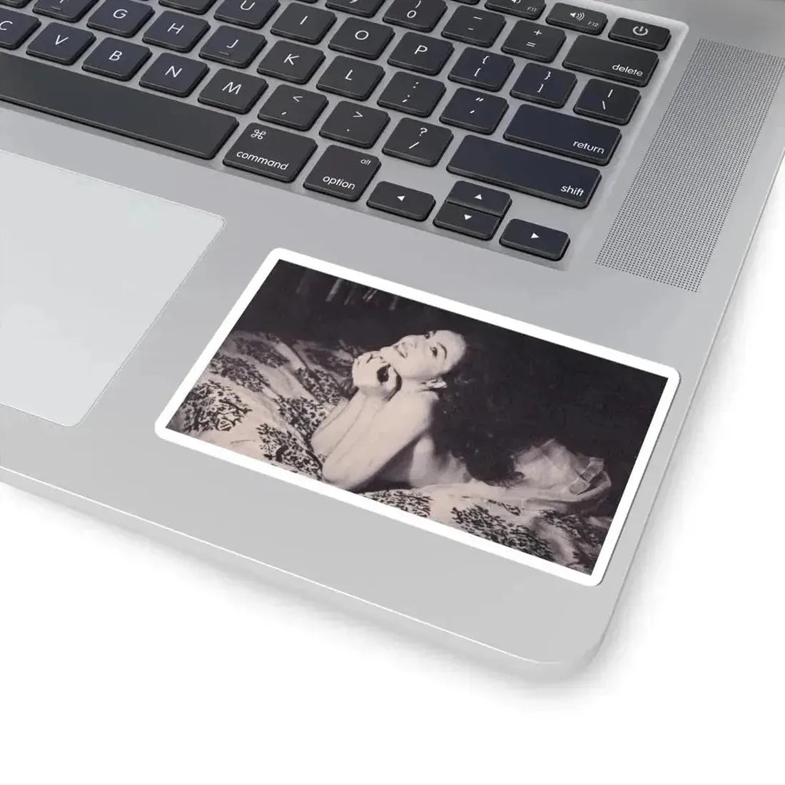 Julie Newmar #377 (Vintage Female Icon) STICKER Vinyl Kiss-Cut Decal - The Sticker Space