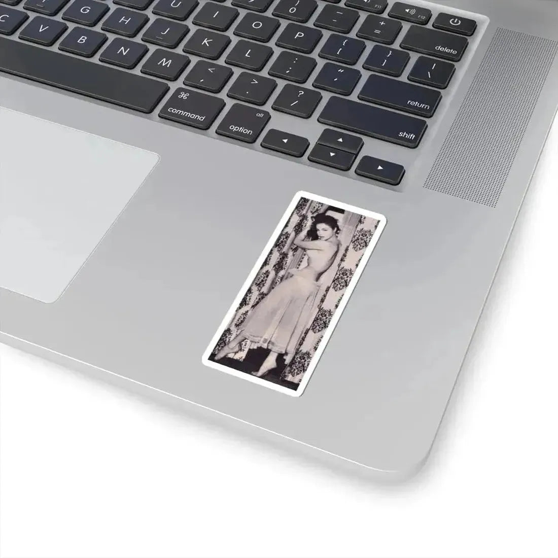 Julie Newmar #383 (Vintage Female Icon) STICKER Vinyl Kiss-Cut Decal - The Sticker Space