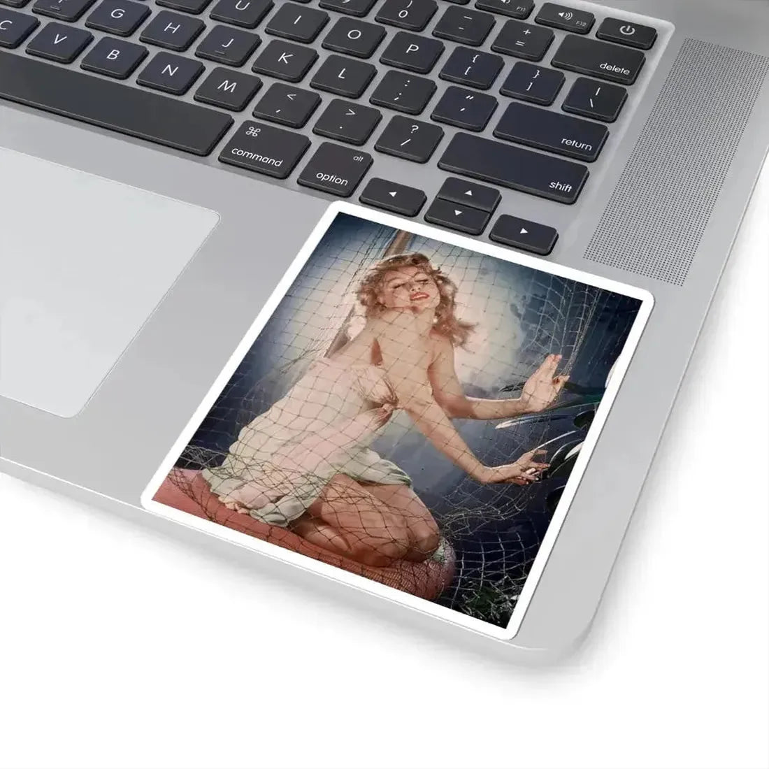 Julie Newmar #385 (Vintage Female Icon) STICKER Vinyl Kiss-Cut Decal - The Sticker Space