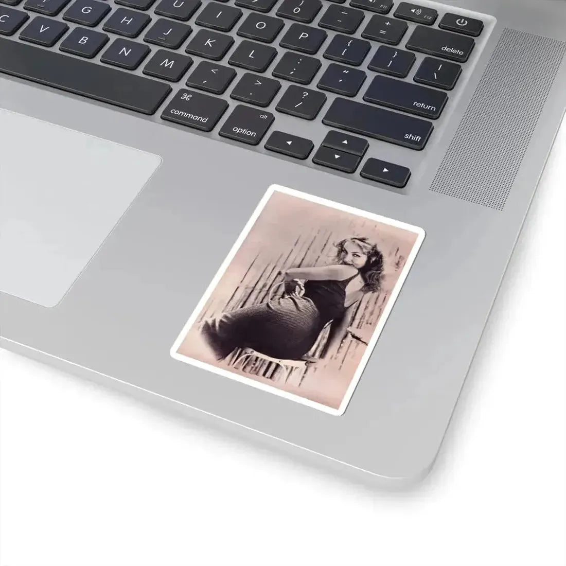 Julie Newmar #404 (Vintage Female Icon) STICKER Vinyl Kiss-Cut Decal - The Sticker Space