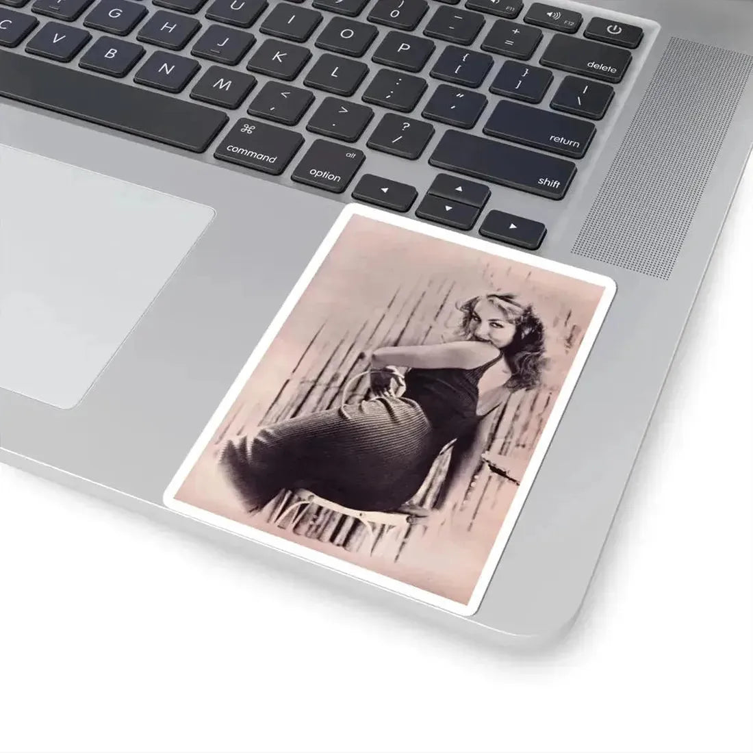 Julie Newmar #404 (Vintage Female Icon) STICKER Vinyl Kiss-Cut Decal - The Sticker Space