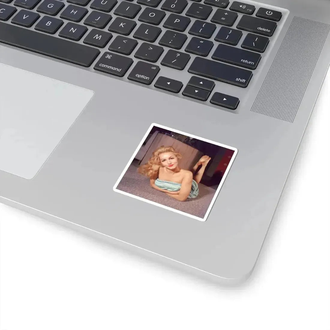 Julie Newmar #419 (Vintage Female Icon) STICKER Vinyl Kiss-Cut Decal - The Sticker Space