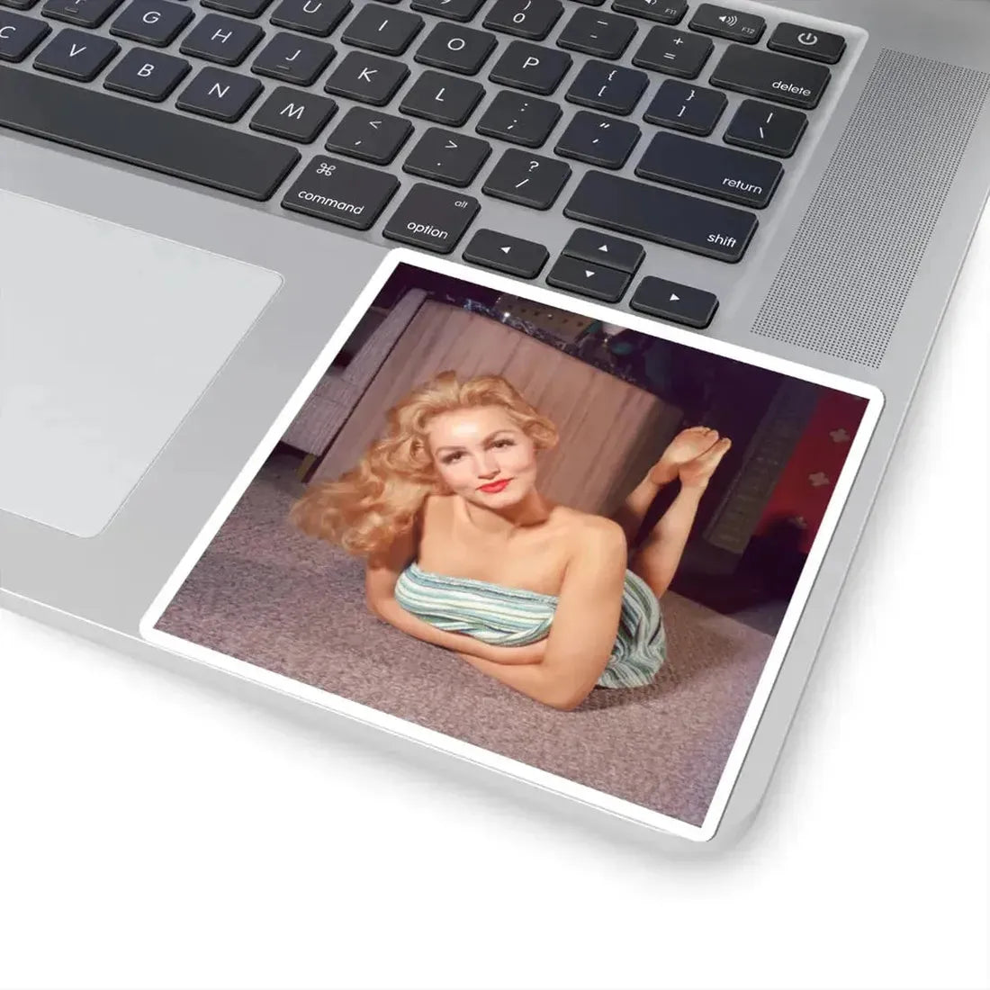 Julie Newmar #419 (Vintage Female Icon) STICKER Vinyl Kiss-Cut Decal - The Sticker Space