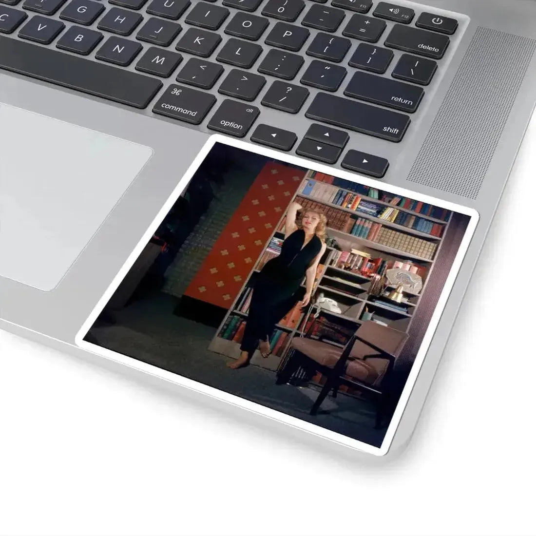 Julie Newmar #421 (Vintage Female Icon) STICKER Vinyl Kiss-Cut Decal - The Sticker Space