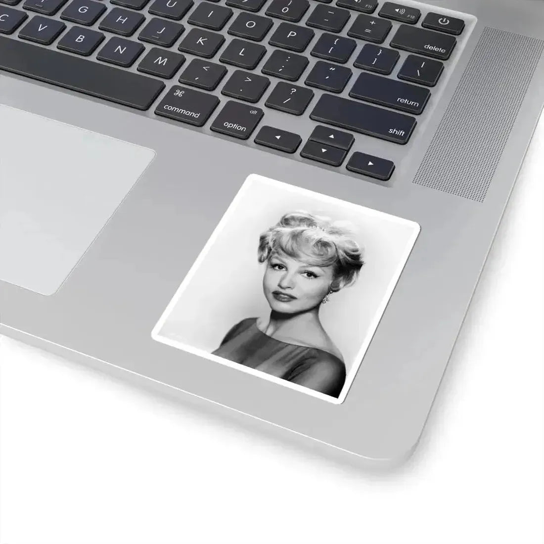 Julie Newmar #434 (Vintage Female Icon) STICKER Vinyl Kiss-Cut Decal - The Sticker Space