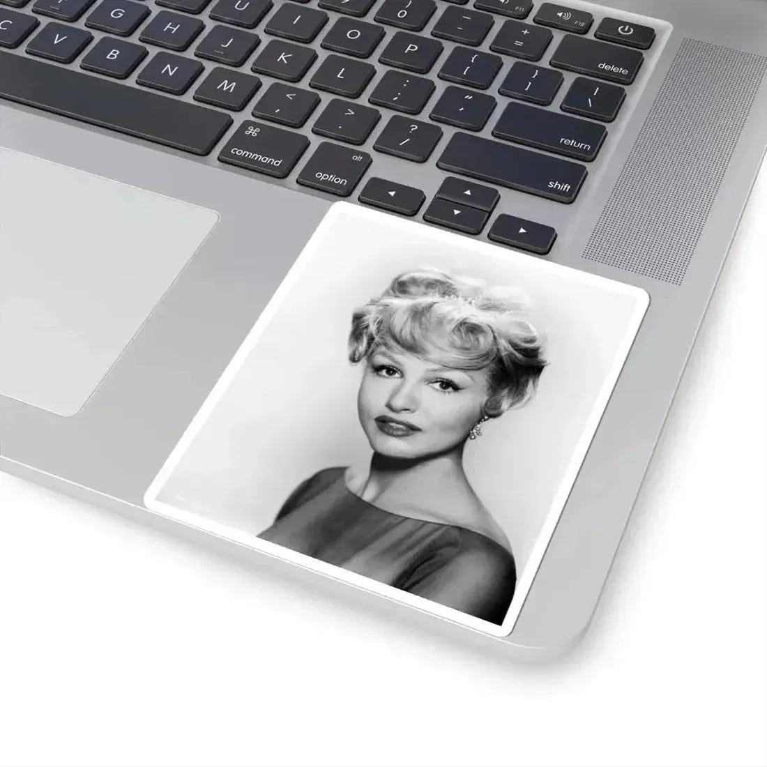 Julie Newmar #434 (Vintage Female Icon) STICKER Vinyl Kiss-Cut Decal - The Sticker Space
