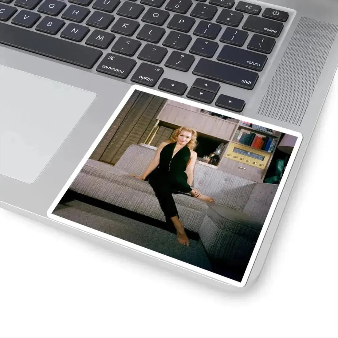 Julie Newmar #436 (Vintage Female Icon) STICKER Vinyl Kiss-Cut Decal - The Sticker Space