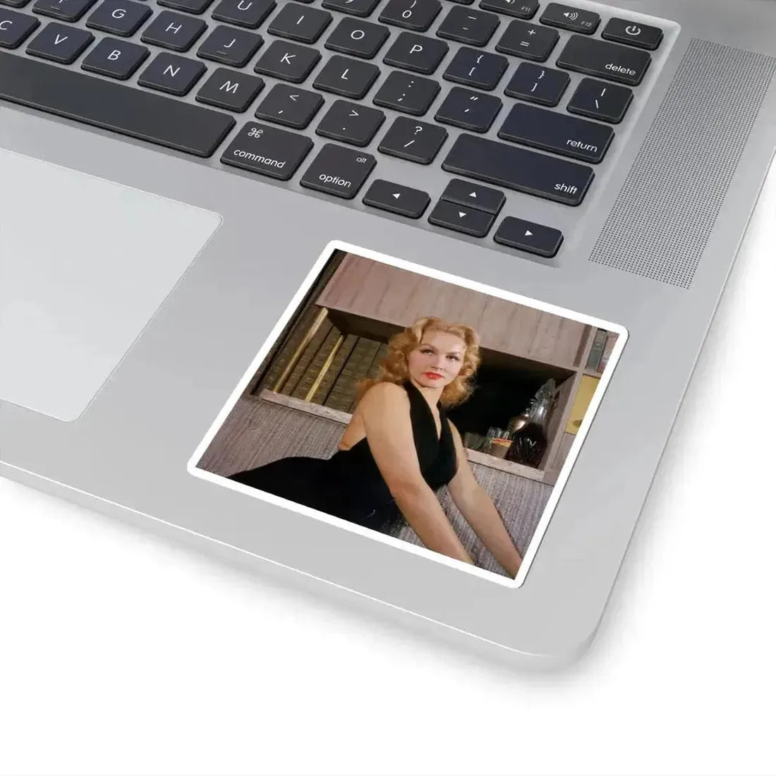 Julie Newmar #439 (Vintage Female Icon) STICKER Vinyl Kiss-Cut Decal - The Sticker Space