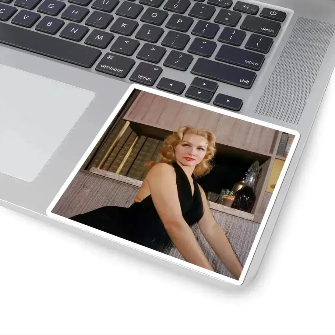 Julie Newmar #439 (Vintage Female Icon) STICKER Vinyl Kiss-Cut Decal - The Sticker Space