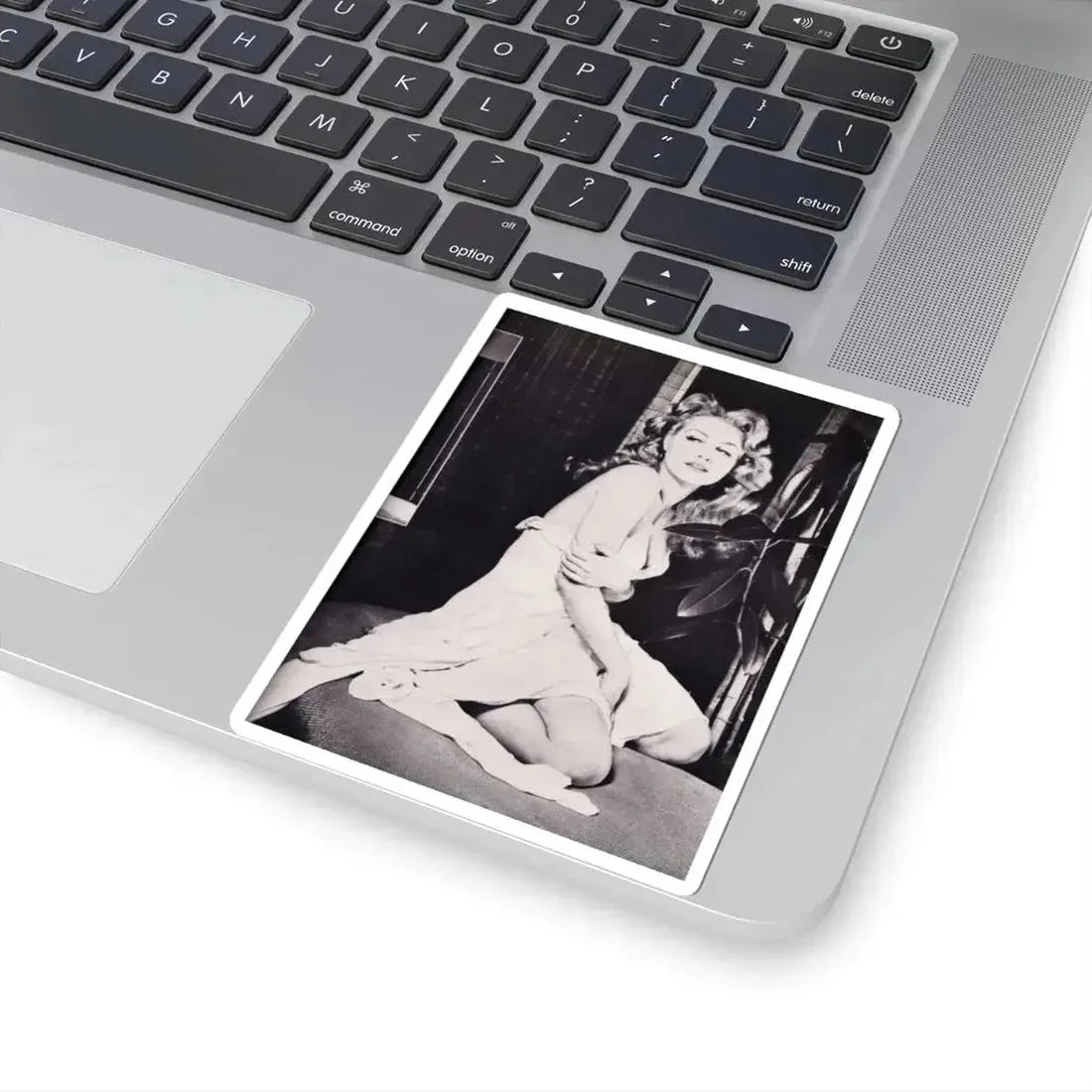 Julie Newmar #440 (Vintage Female Icon) STICKER Vinyl Kiss-Cut Decal - The Sticker Space
