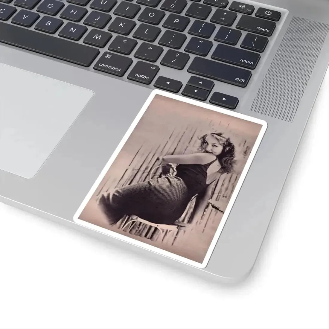 Julie Newmar #447 (Vintage Female Icon) STICKER Vinyl Kiss-Cut Decal - The Sticker Space