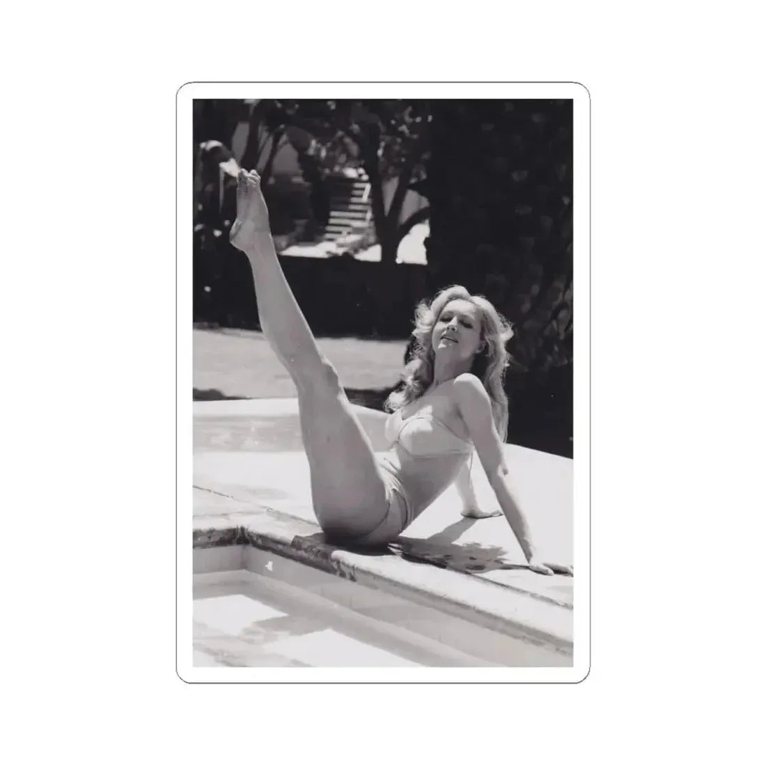 Julie Newmar #474 (Vintage Female Icon) STICKER Vinyl Kiss-Cut Decal 4 Inch White - The Sticker Space