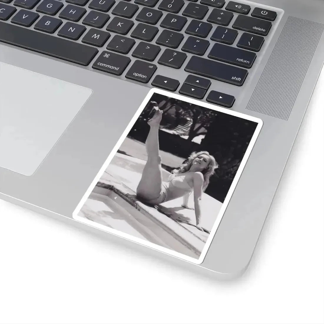 Julie Newmar #474 (Vintage Female Icon) STICKER Vinyl Kiss-Cut Decal - The Sticker Space