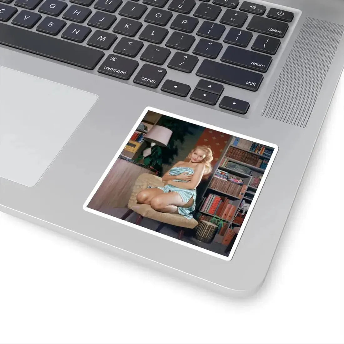 Julie Newmar #485 (Vintage Female Icon) STICKER Vinyl Kiss-Cut Decal - The Sticker Space