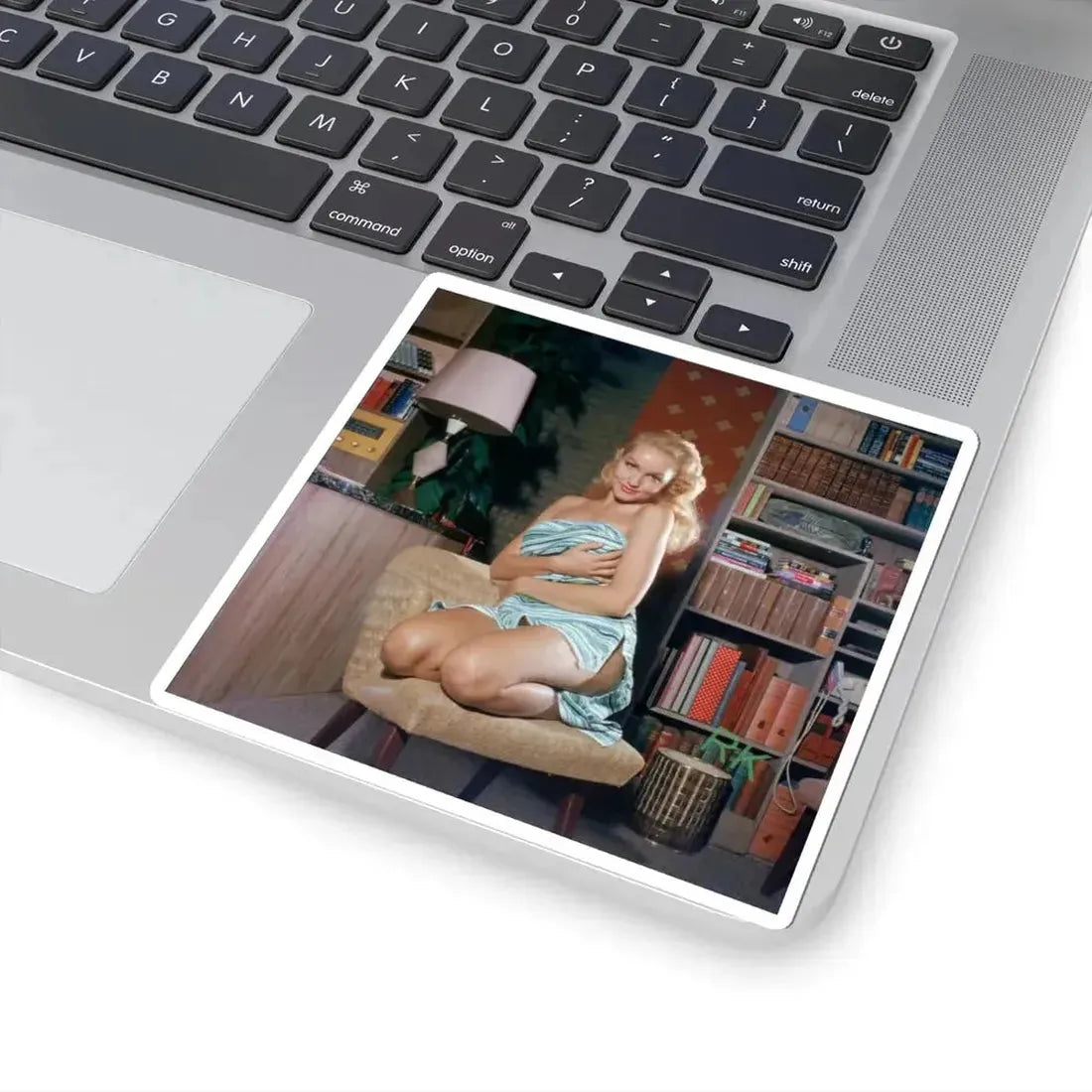 Julie Newmar #485 (Vintage Female Icon) STICKER Vinyl Kiss-Cut Decal - The Sticker Space