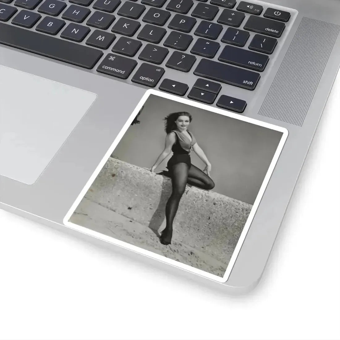 Julie Newmar #506 (Vintage Female Icon) STICKER Vinyl Kiss-Cut Decal - The Sticker Space