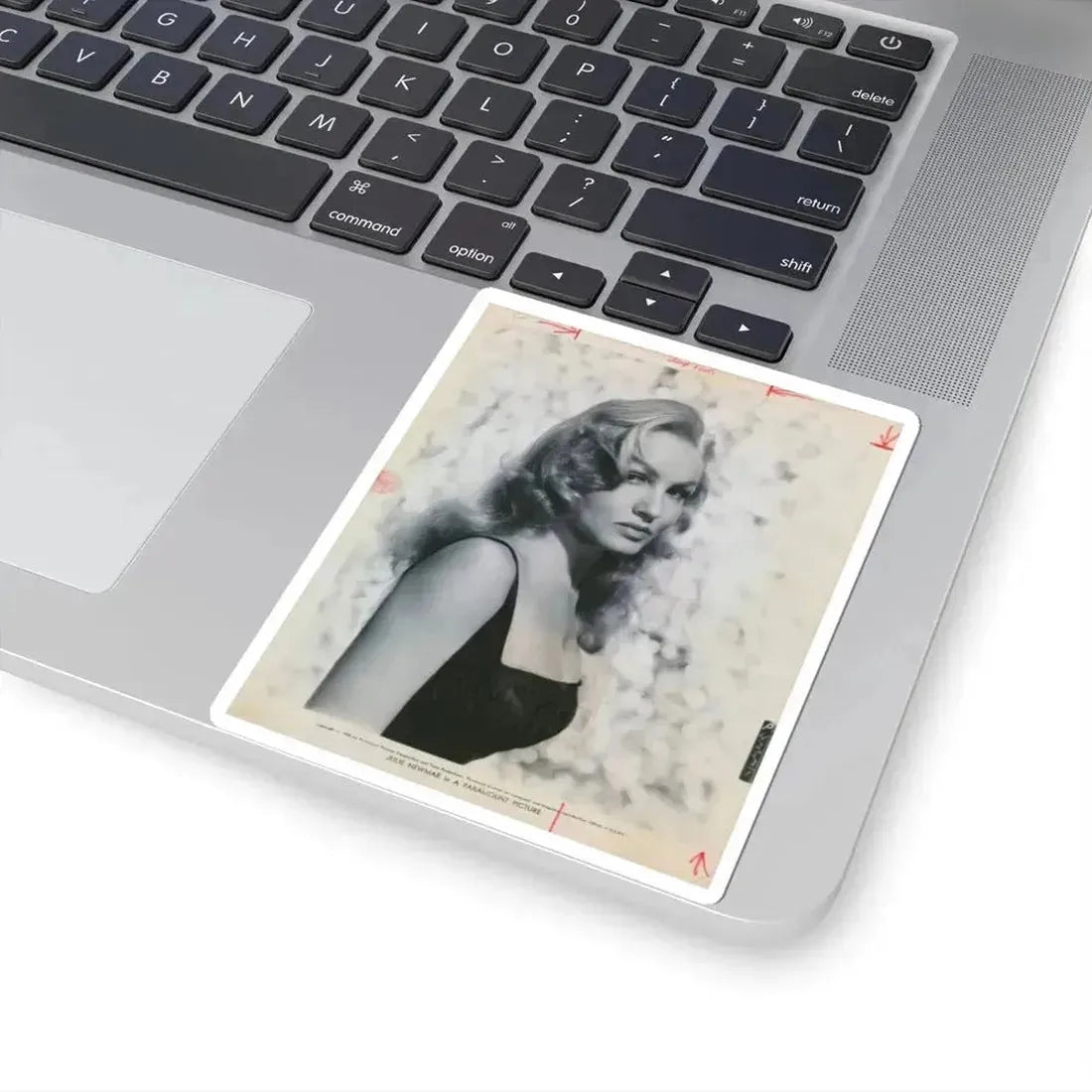 Julie Newmar #507 (Vintage Female Icon) STICKER Vinyl Kiss-Cut Decal - The Sticker Space