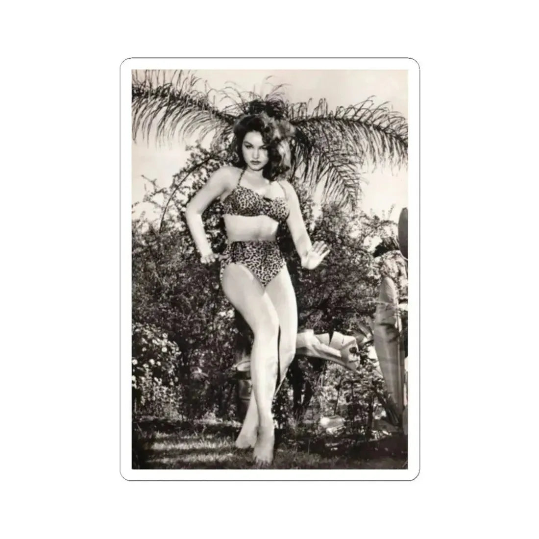 Julie Newmar #586 (Vintage Female Icon) STICKER Vinyl Kiss-Cut Decal 2 Inch White - The Sticker Space