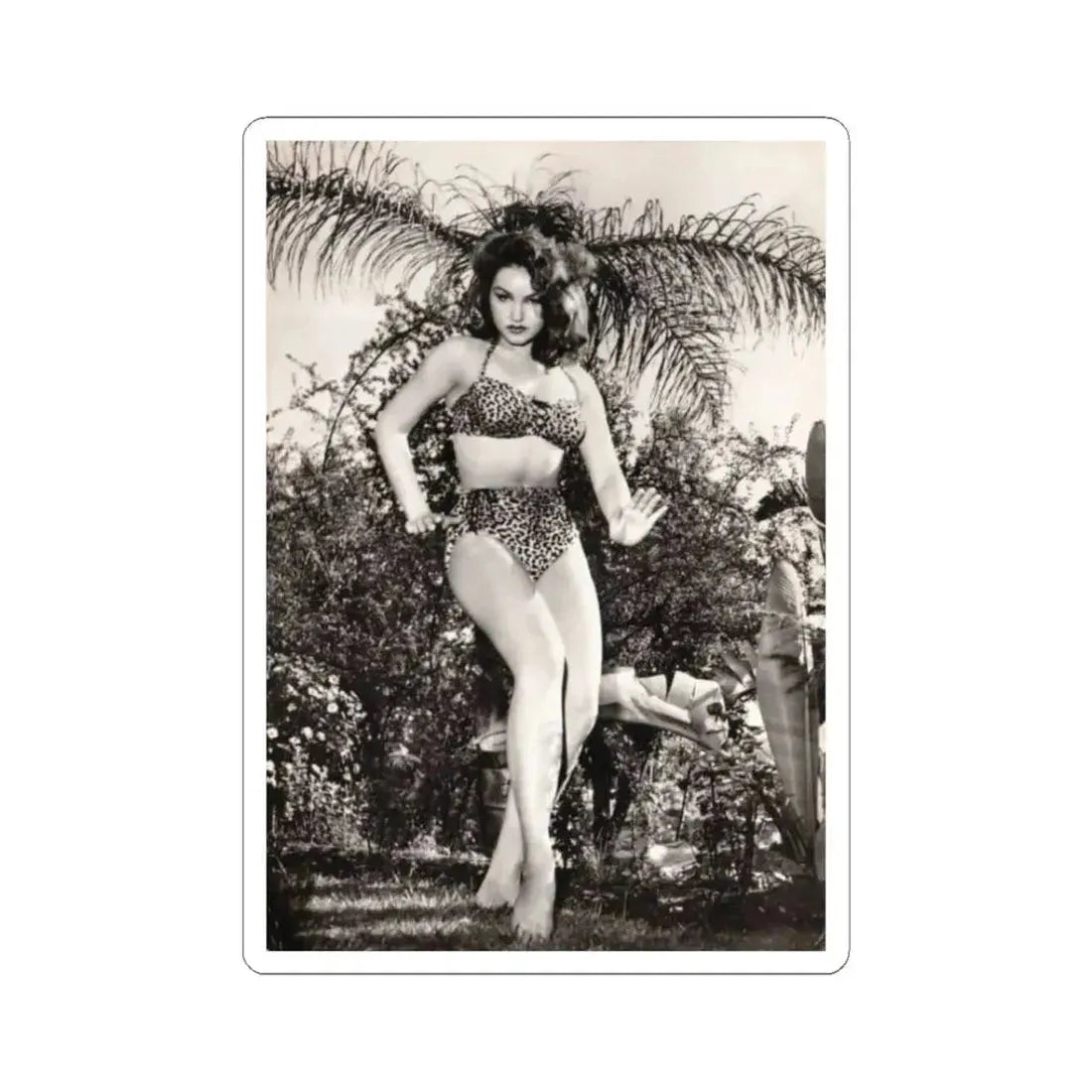 Julie Newmar #586 (Vintage Female Icon) STICKER Vinyl Kiss-Cut Decal 3 Inch White - The Sticker Space