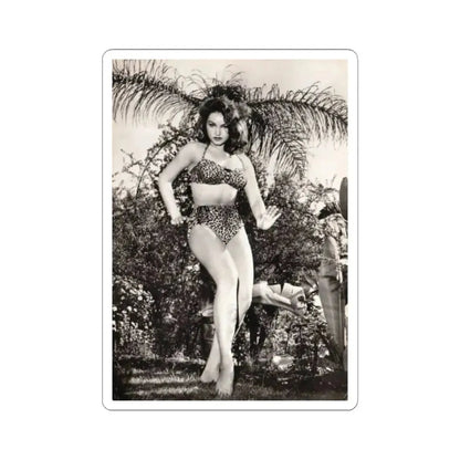 Julie Newmar #586 (Vintage Female Icon) STICKER Vinyl Kiss-Cut Decal 3 Inch White - The Sticker Space