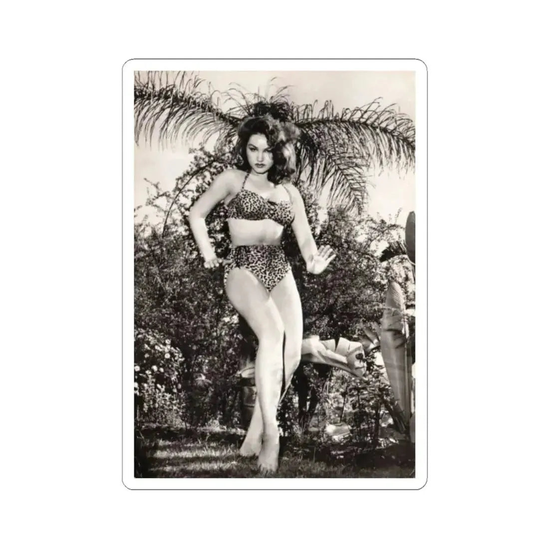 Julie Newmar #586 (Vintage Female Icon) STICKER Vinyl Kiss-Cut Decal 4 Inch White - The Sticker Space