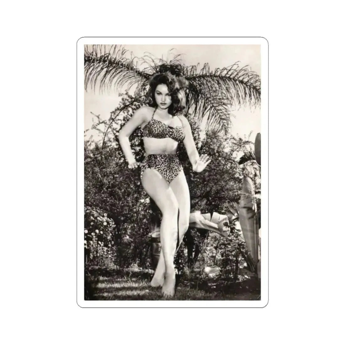 Julie Newmar #586 (Vintage Female Icon) STICKER Vinyl Kiss-Cut Decal 6 Inch White - The Sticker Space