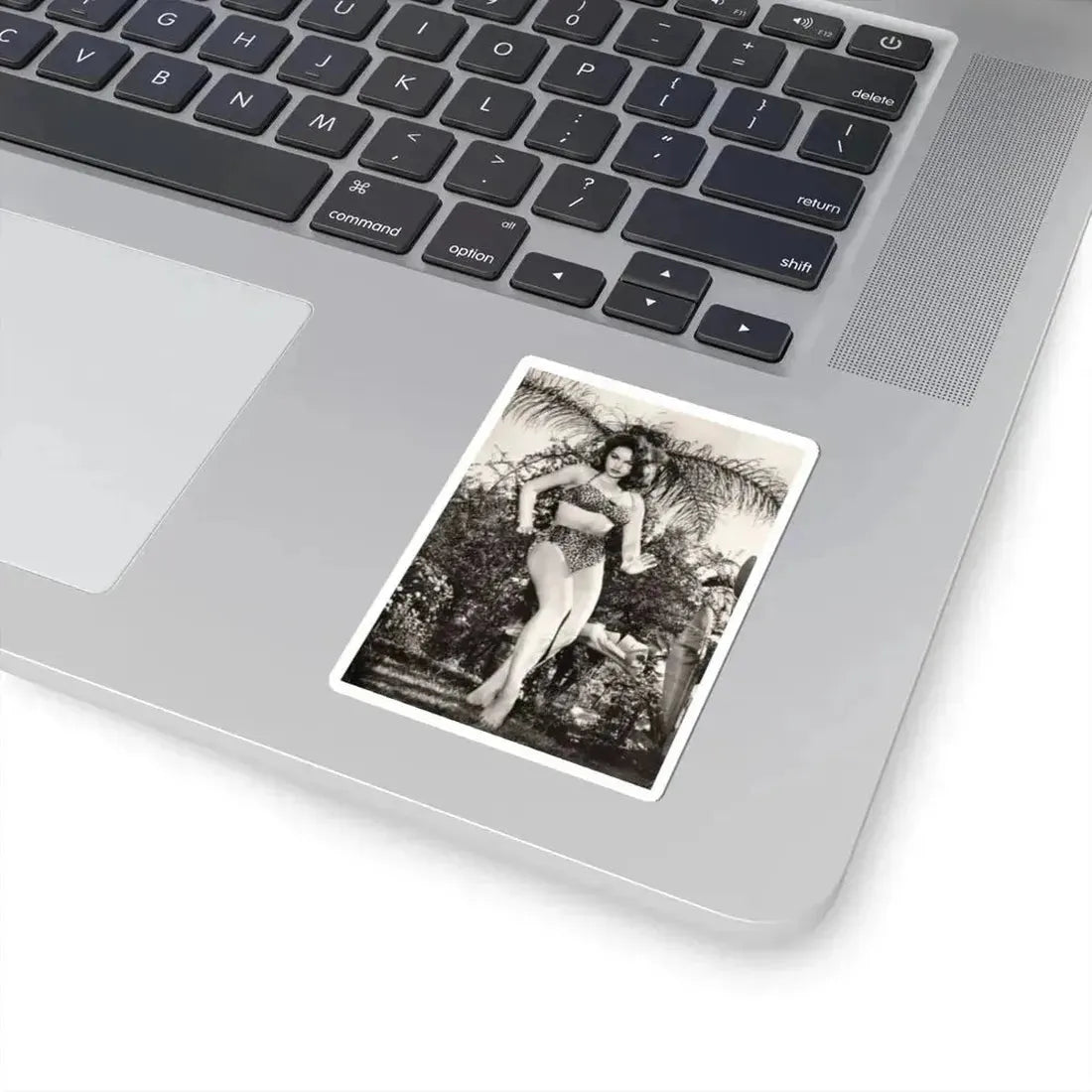 Julie Newmar #586 (Vintage Female Icon) STICKER Vinyl Kiss-Cut Decal - The Sticker Space