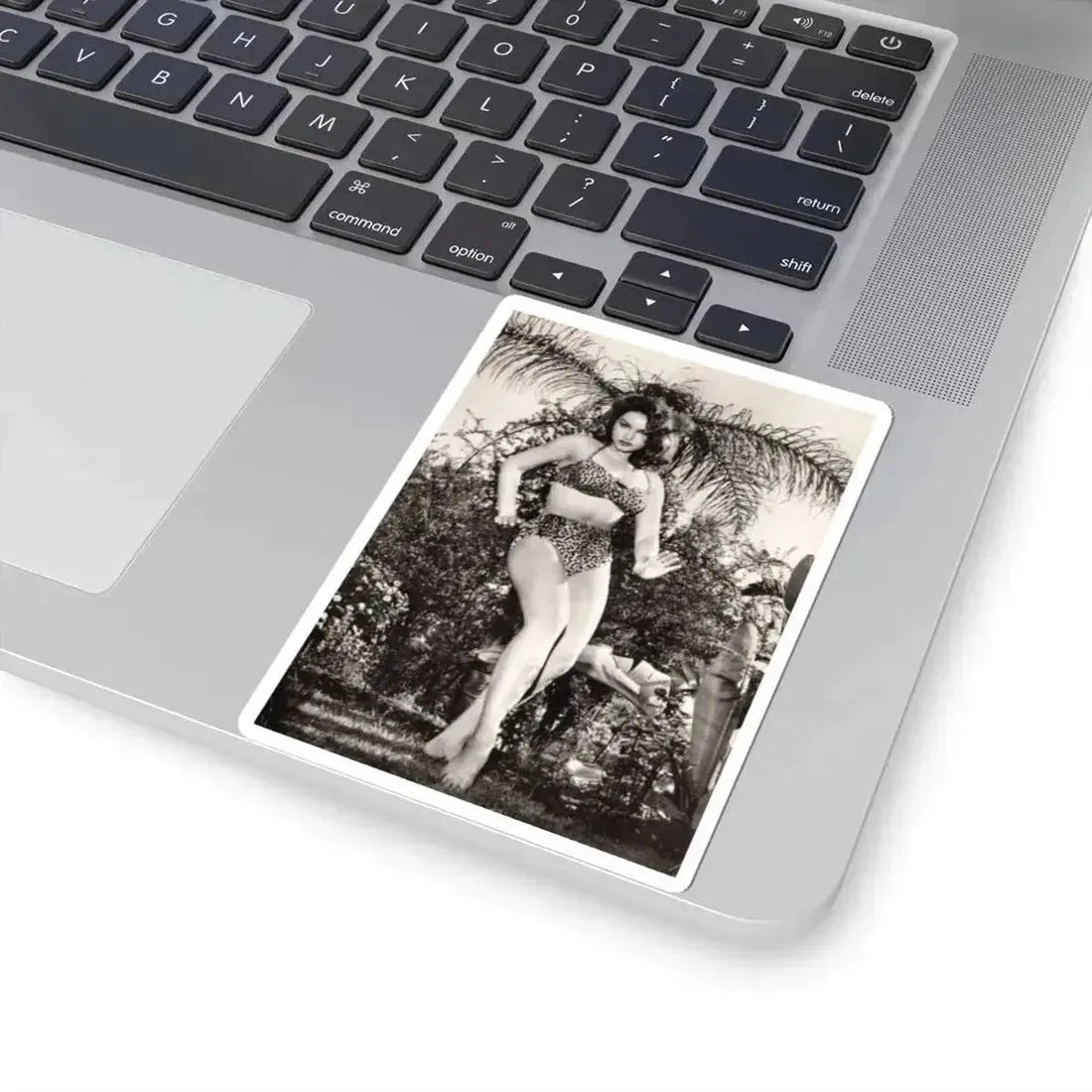 Julie Newmar #586 (Vintage Female Icon) STICKER Vinyl Kiss-Cut Decal - The Sticker Space