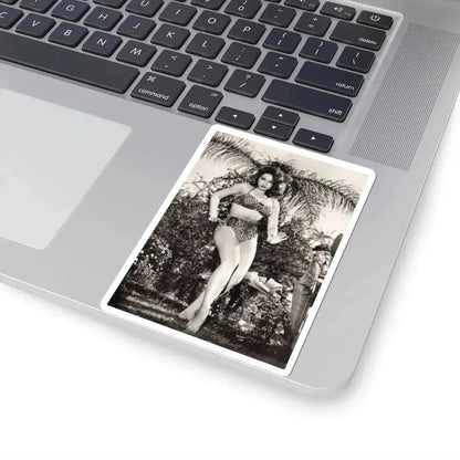 Julie Newmar #586 (Vintage Female Icon) STICKER Vinyl Kiss-Cut Decal - The Sticker Space