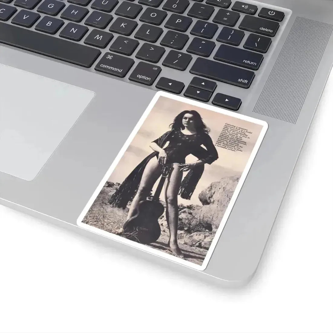 Julie Newmar #613 (Vintage Female Icon) STICKER Vinyl Kiss-Cut Decal - The Sticker Space