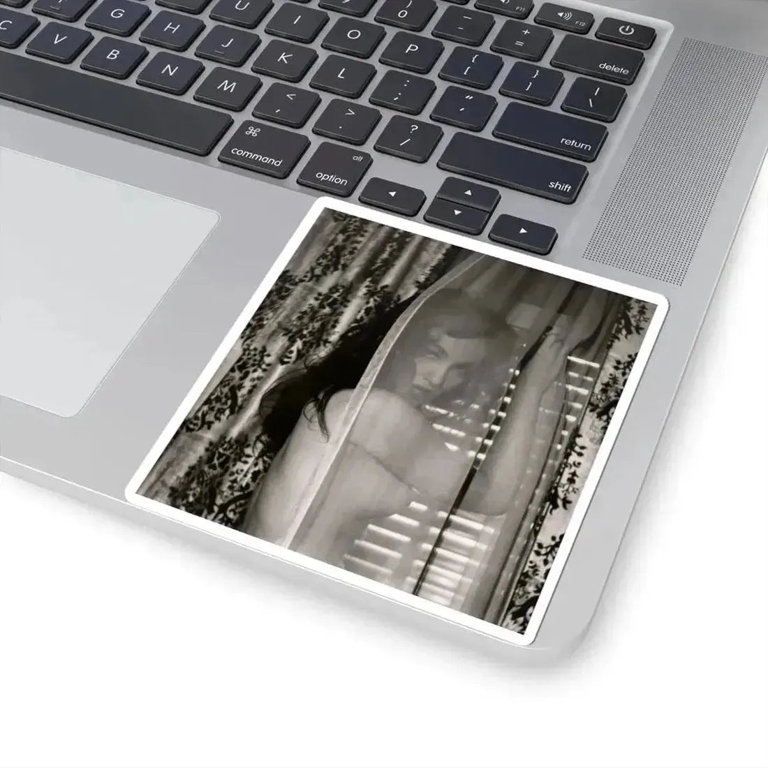 Julie Newmar #630 (Vintage Female Icon) STICKER Vinyl Kiss-Cut Decal - The Sticker Space